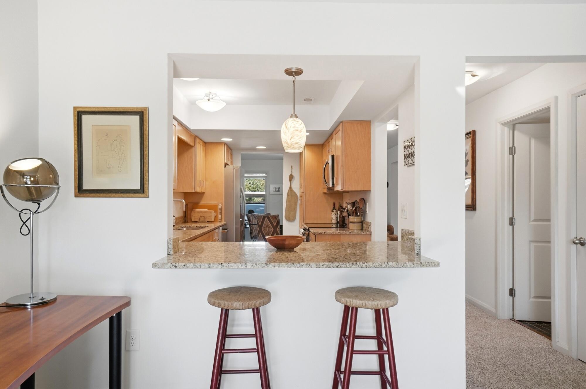 1321 Lake Shore Drive, 176 Property Photo 19