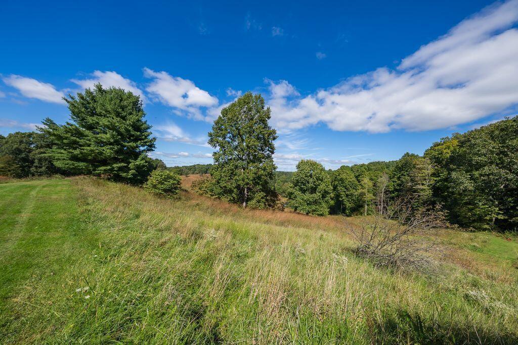24603 Potter Ridge Road Property Photo 78