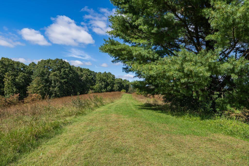 24603 Potter Ridge Road Property Photo 79