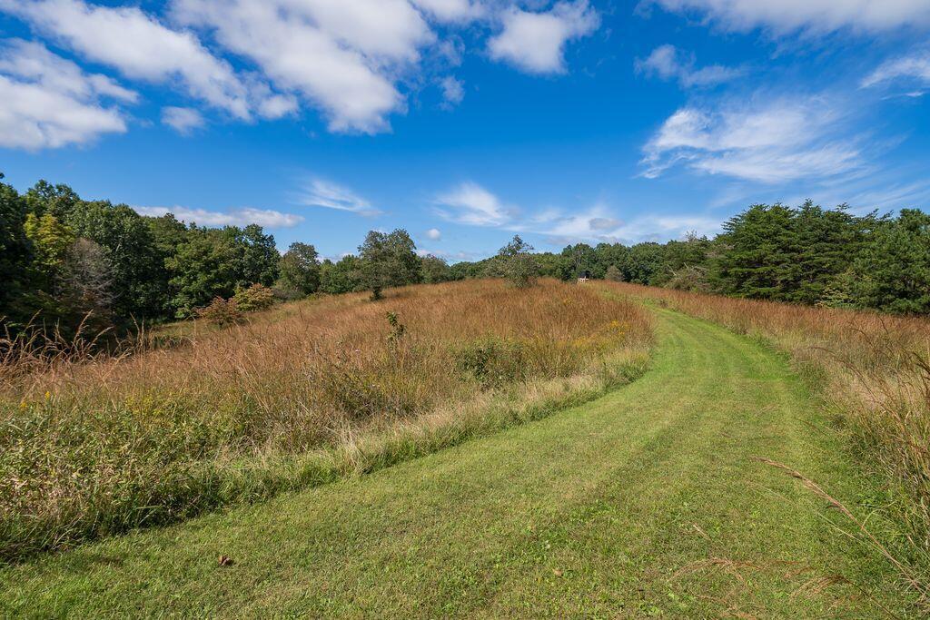 24603 Potter Ridge Road Property Photo 82