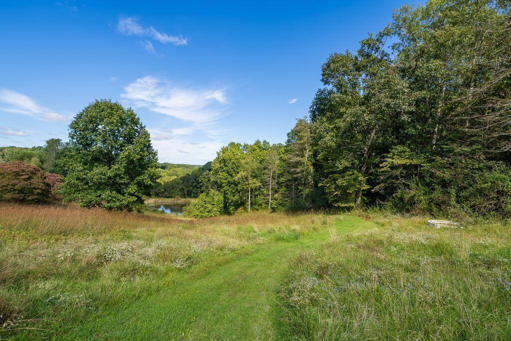 24603 Potter Ridge Road Property Photo 84
