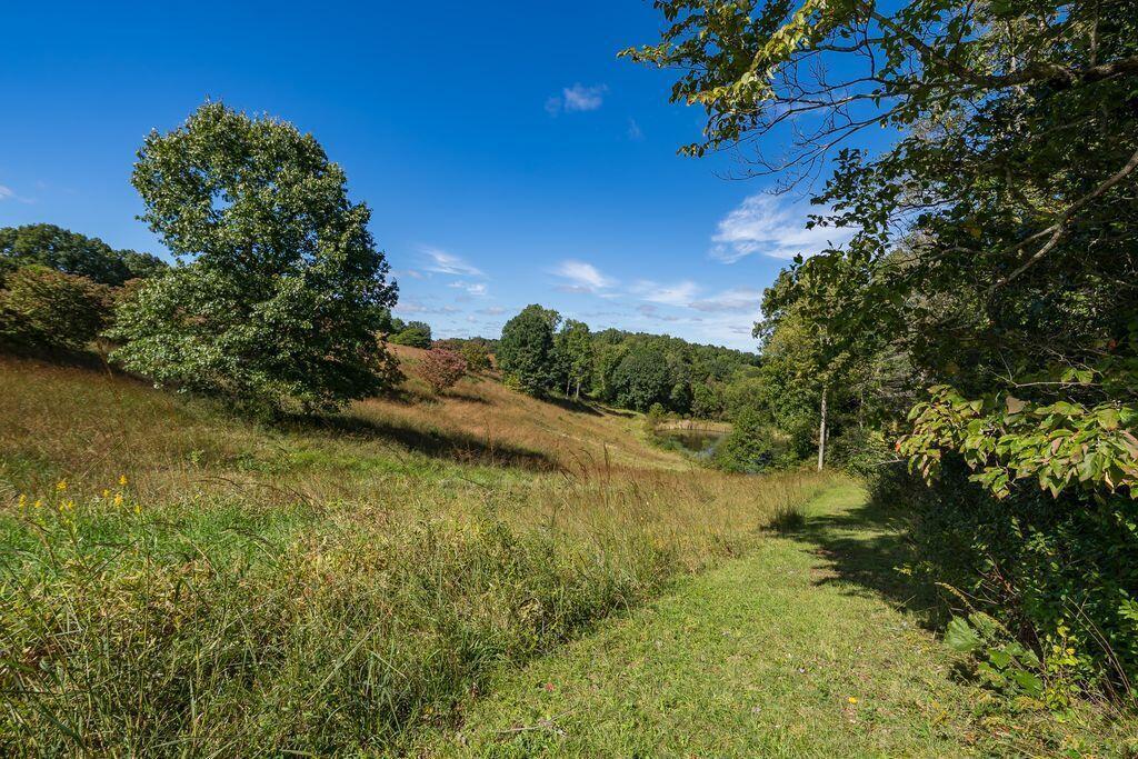 24603 Potter Ridge Road Property Photo 86