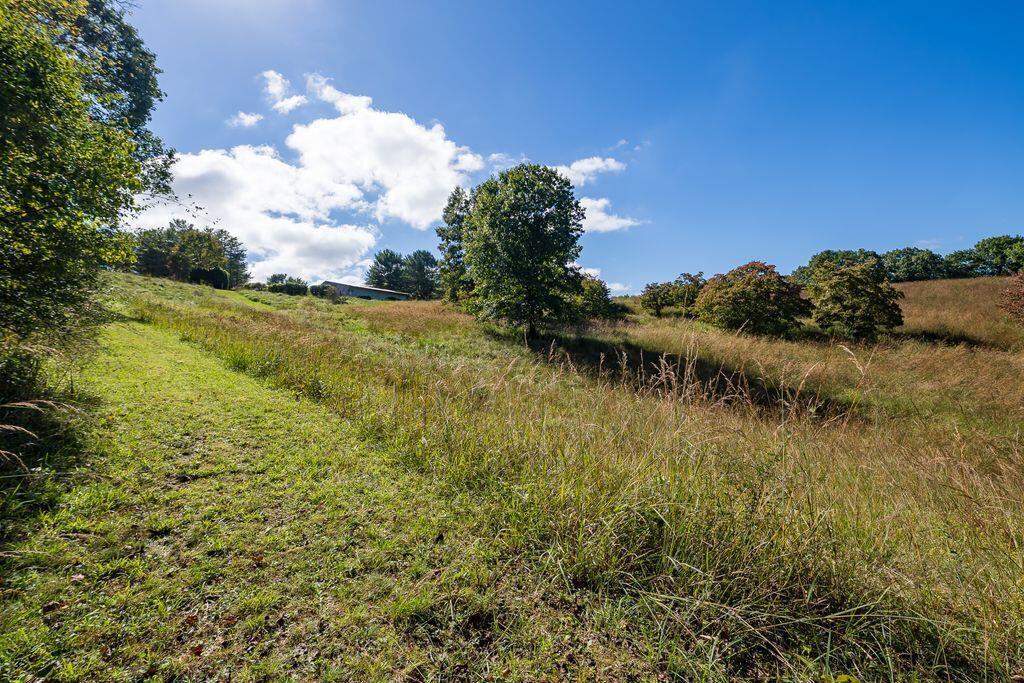 24603 Potter Ridge Road Property Photo 87