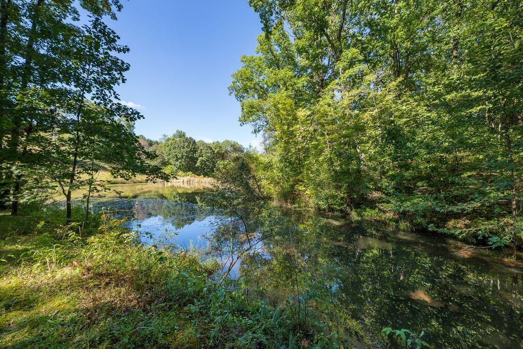 24603 Potter Ridge Road Property Photo 88