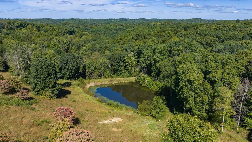 24603 Potter Ridge Road Property Photo 89