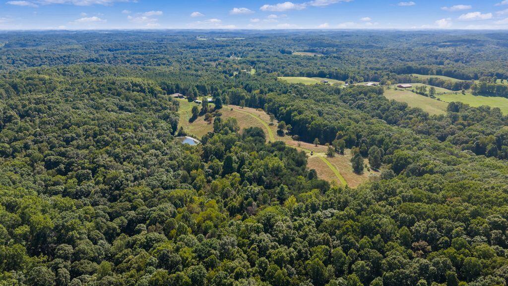 24603 Potter Ridge Road Property Photo 91