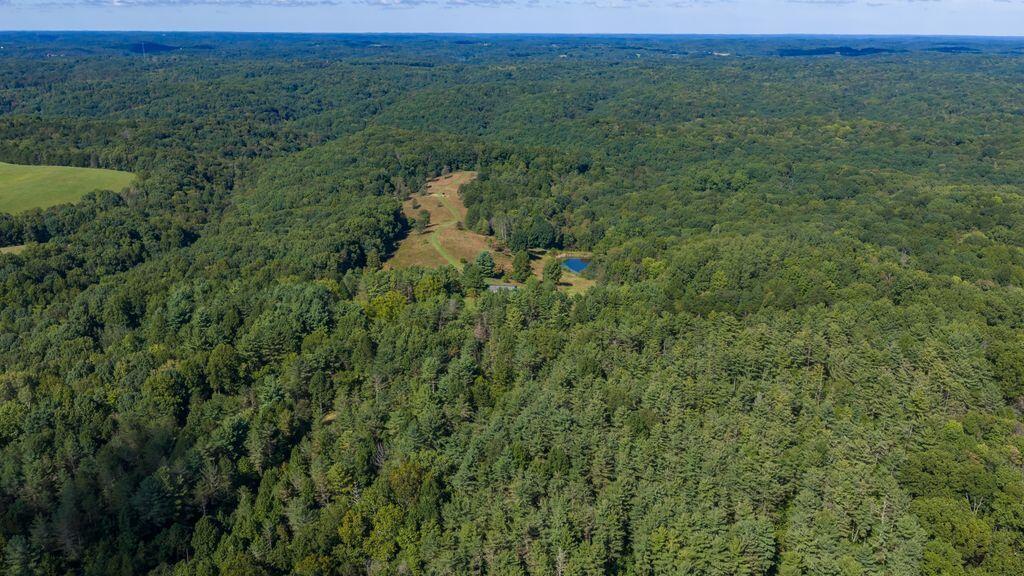 24603 Potter Ridge Road Property Photo 94