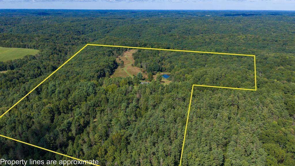 24603 Potter Ridge Road Property Photo 96
