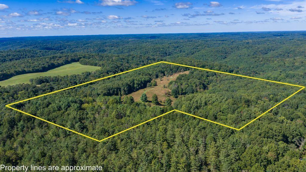 24603 Potter Ridge Road Property Photo 98