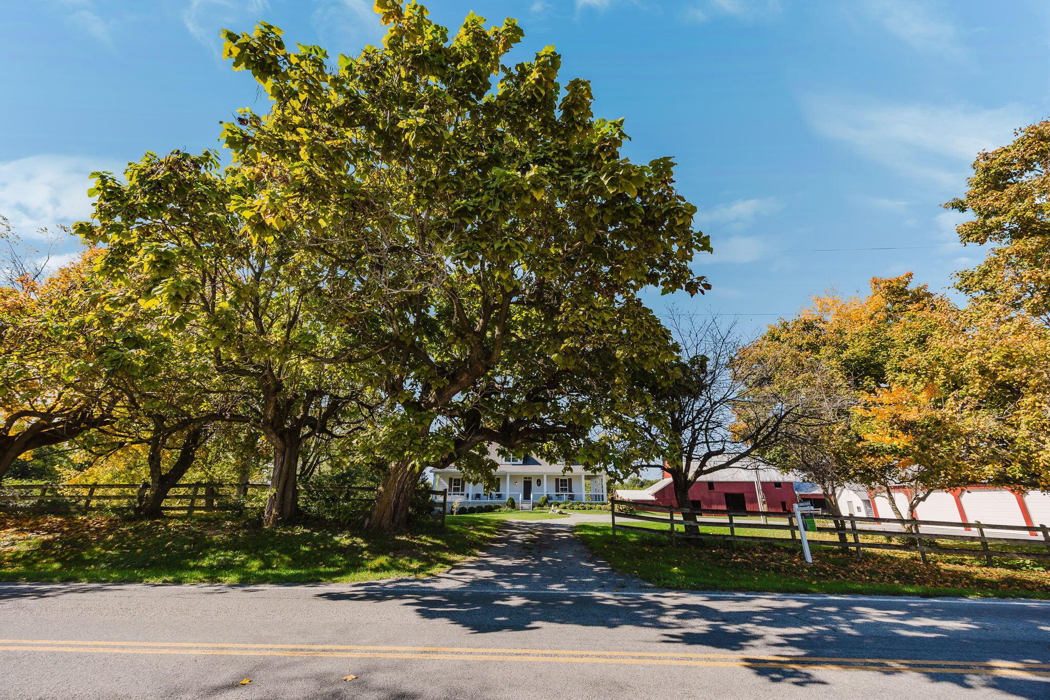 14875 State Road Property Photo 86