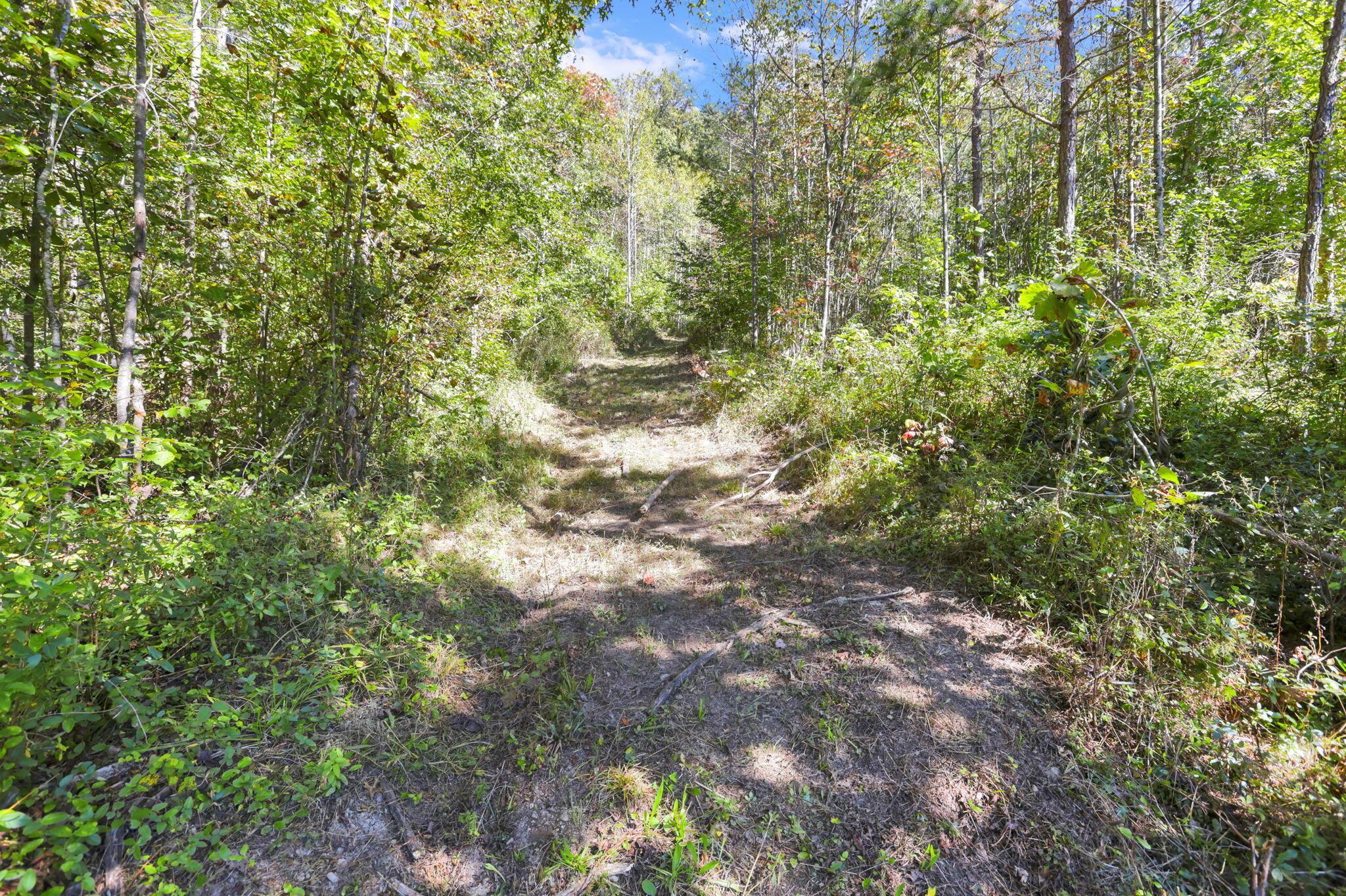 18762 Wagner Road Property Photo 49