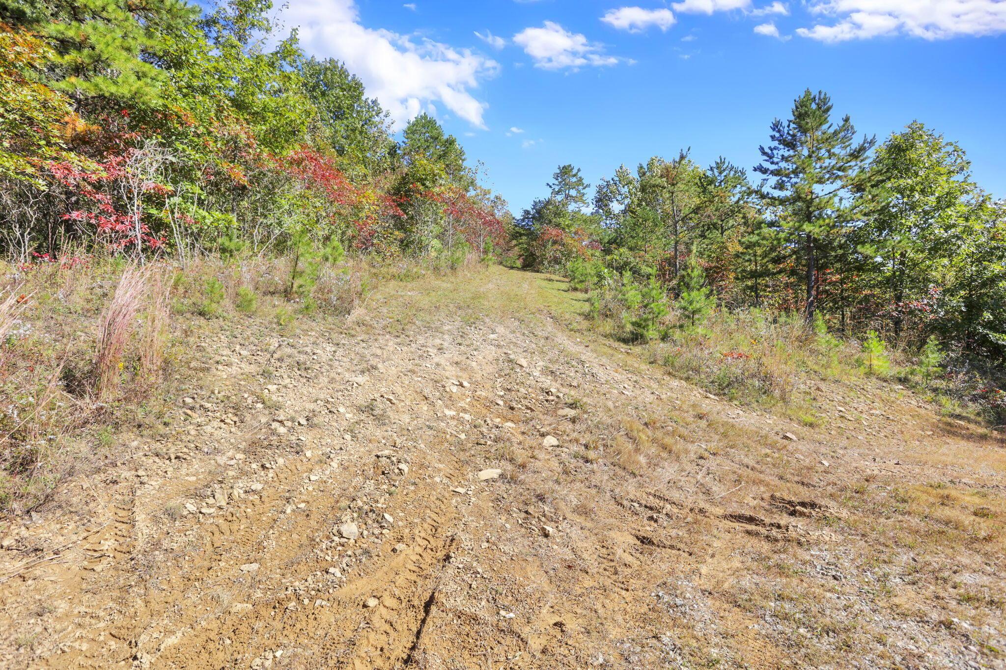 18762 Wagner Road Property Photo 52