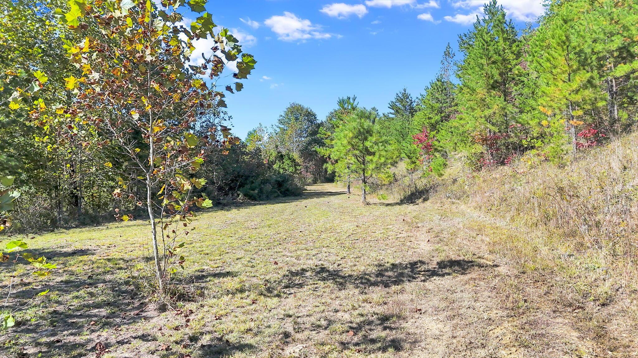 18762 Wagner Road Property Photo 66