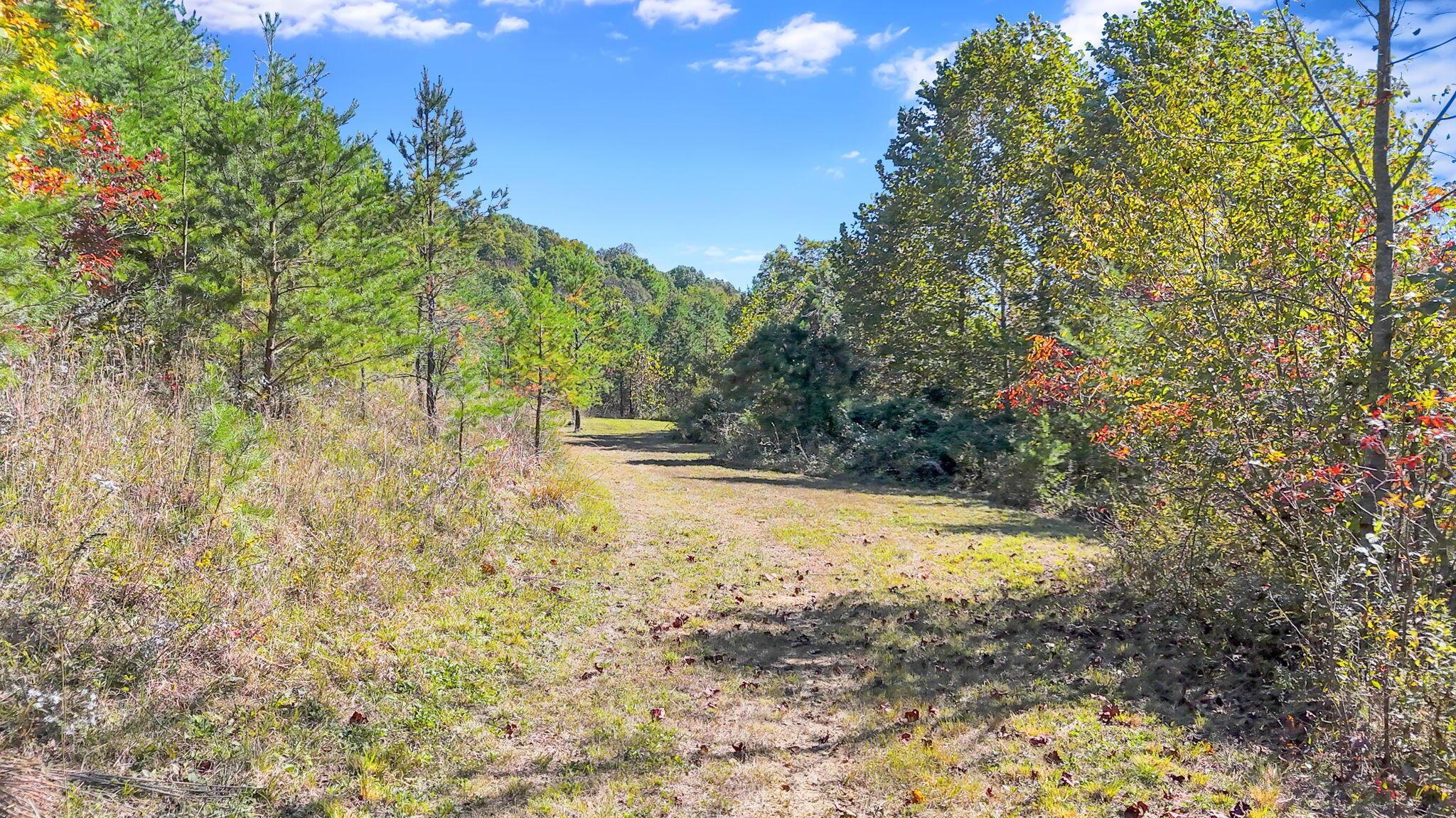 18762 Wagner Road Property Photo 67
