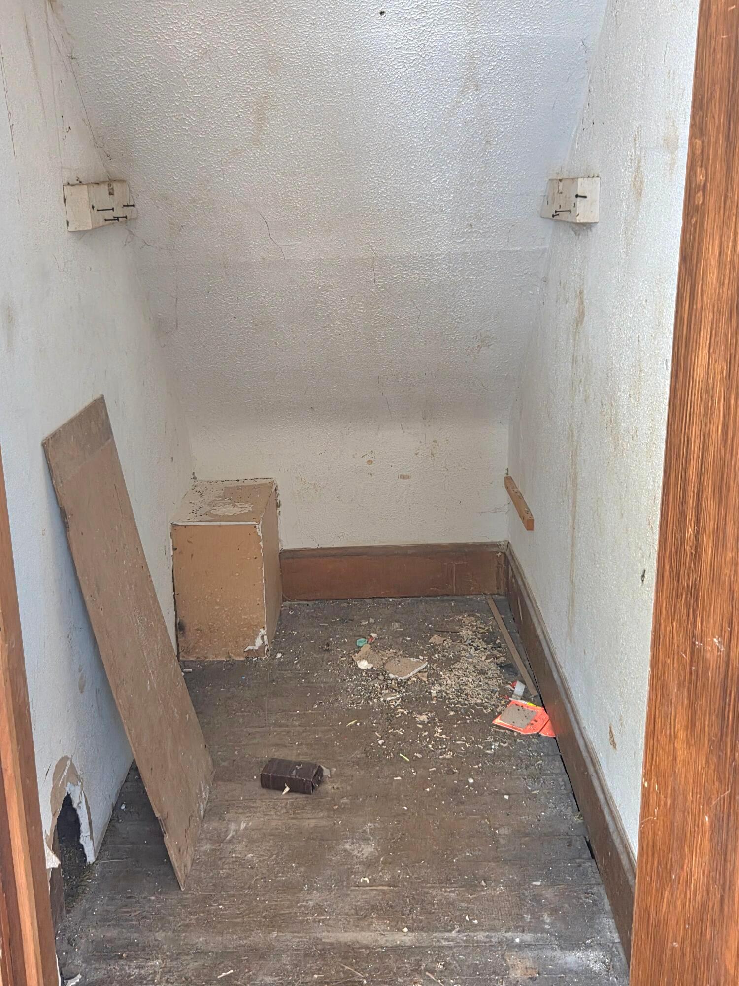 357 Mary Street Property Photo 6