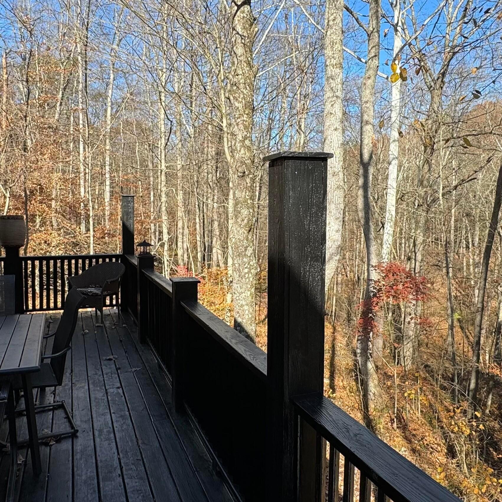 16972 Rocky Fork Road Property Photo 10