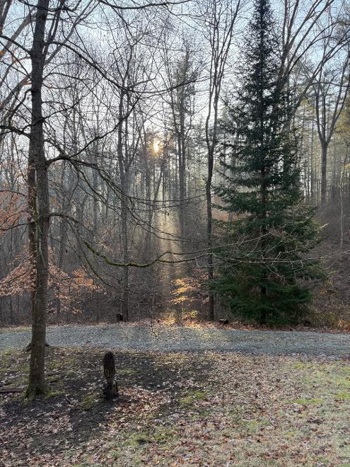 16972 Rocky Fork Road Property Photo 85