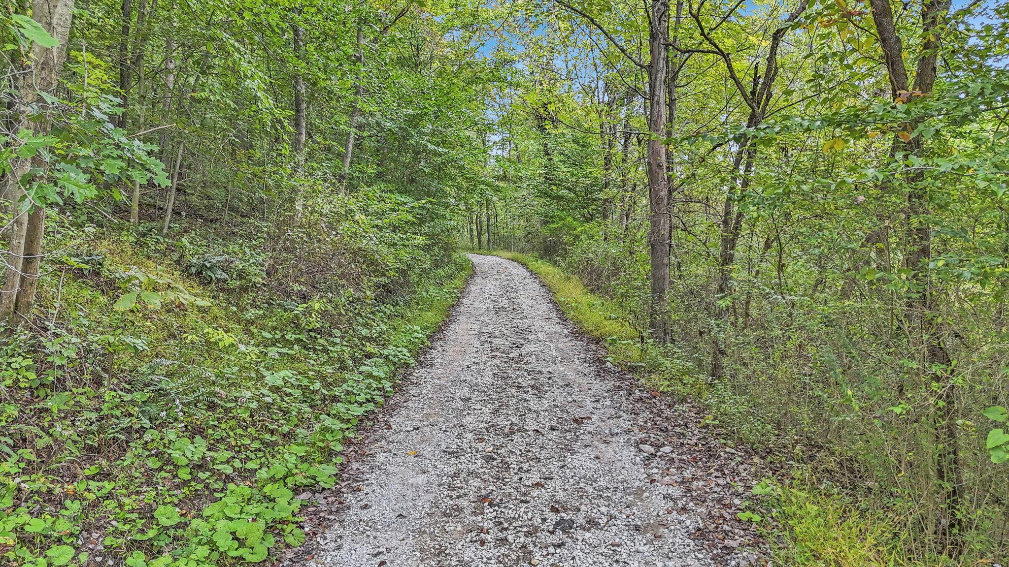 15009 Jack Run Road Property Photo 52