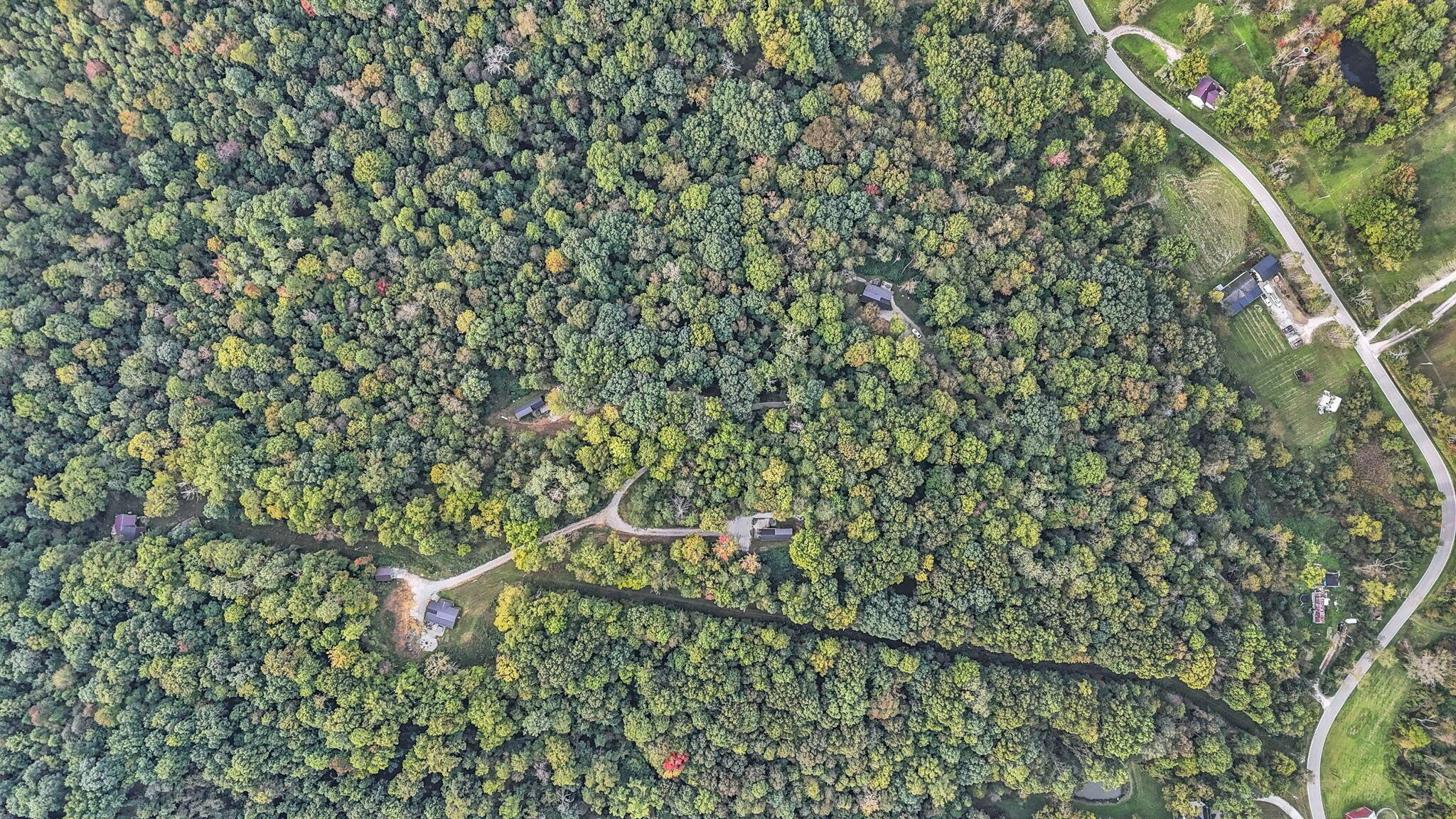 15009 Jack Run Road Property Photo 55