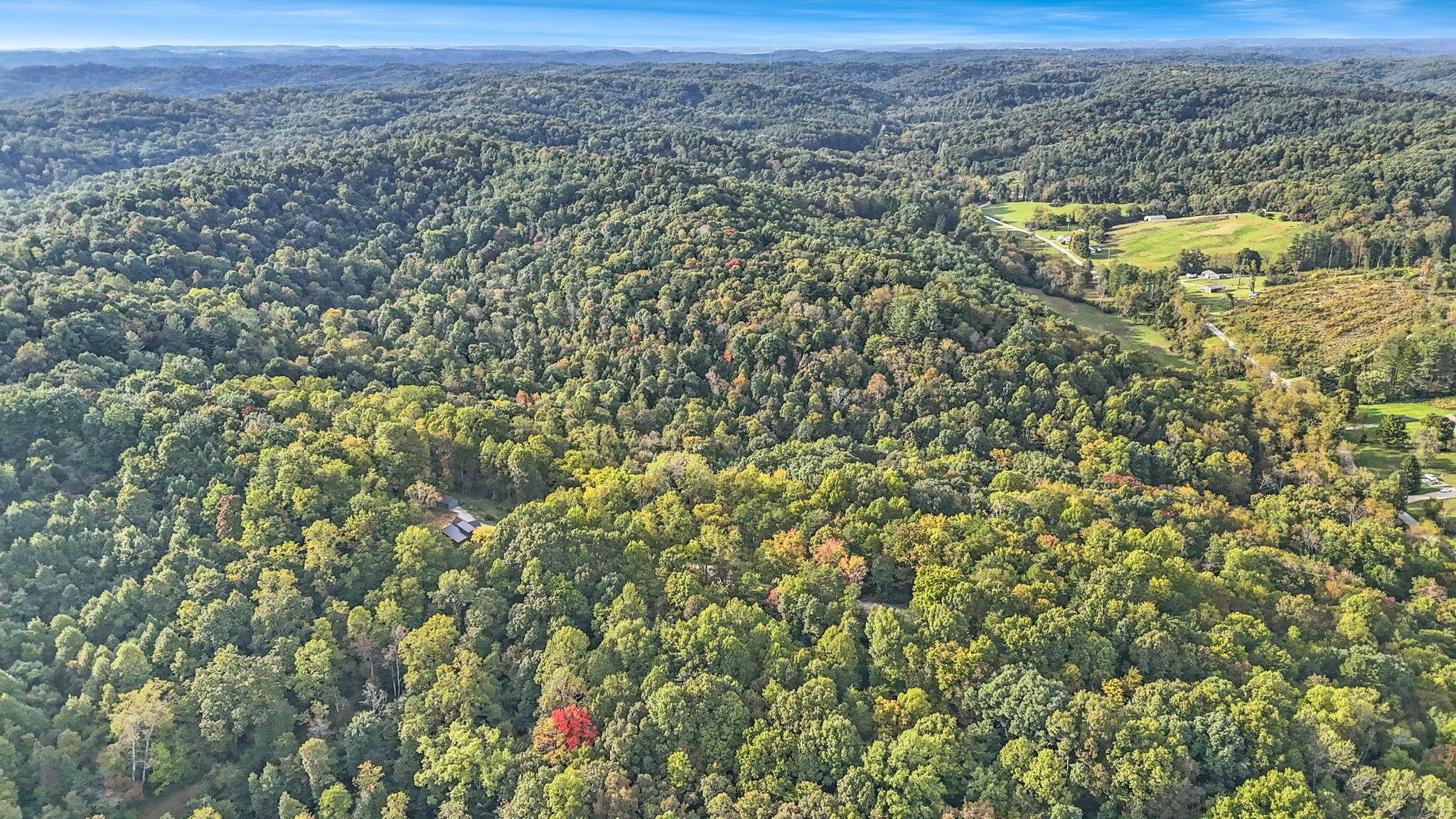 15009 Jack Run Road Property Photo 60