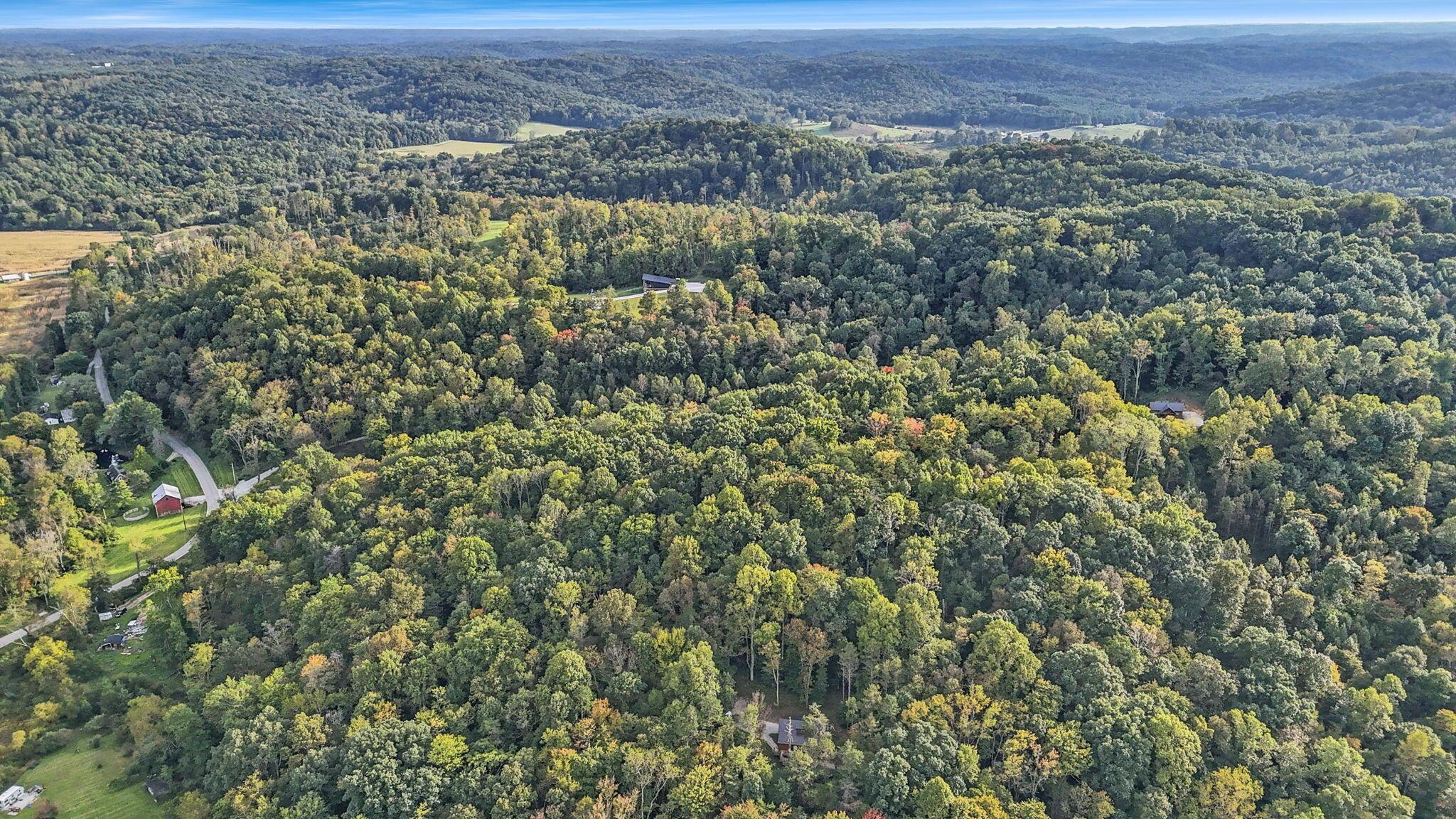 15009 Jack Run Road Property Photo 61