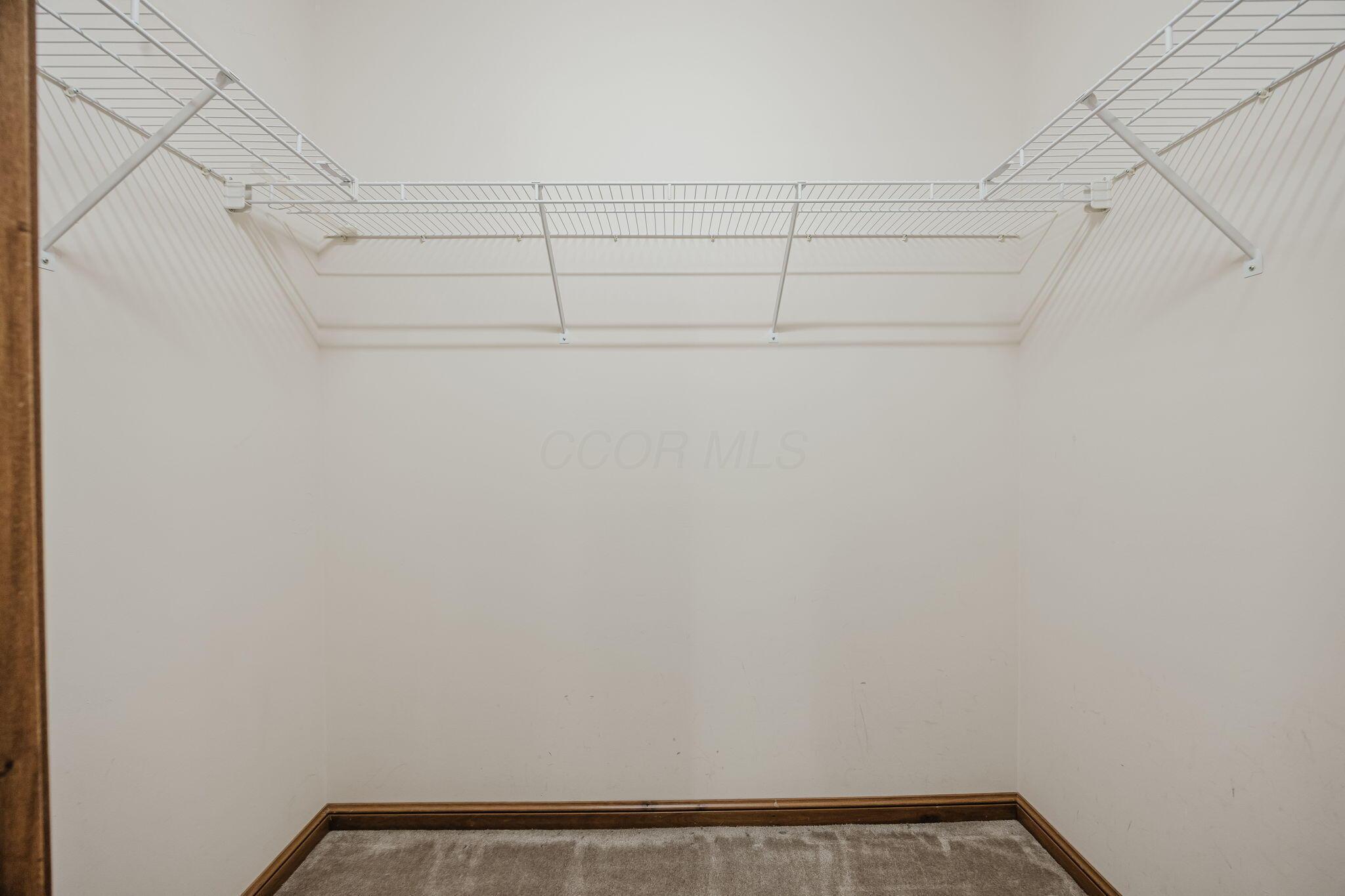 123 Curly Smart Circle Property Photo 37