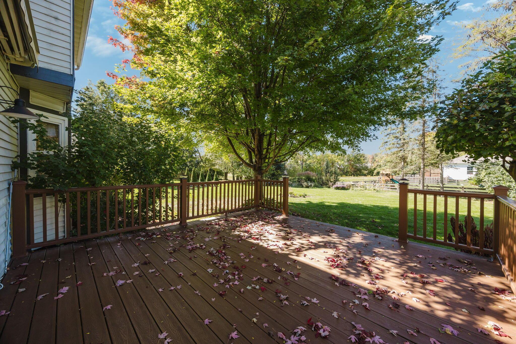 123 Curly Smart Circle Property Photo 43