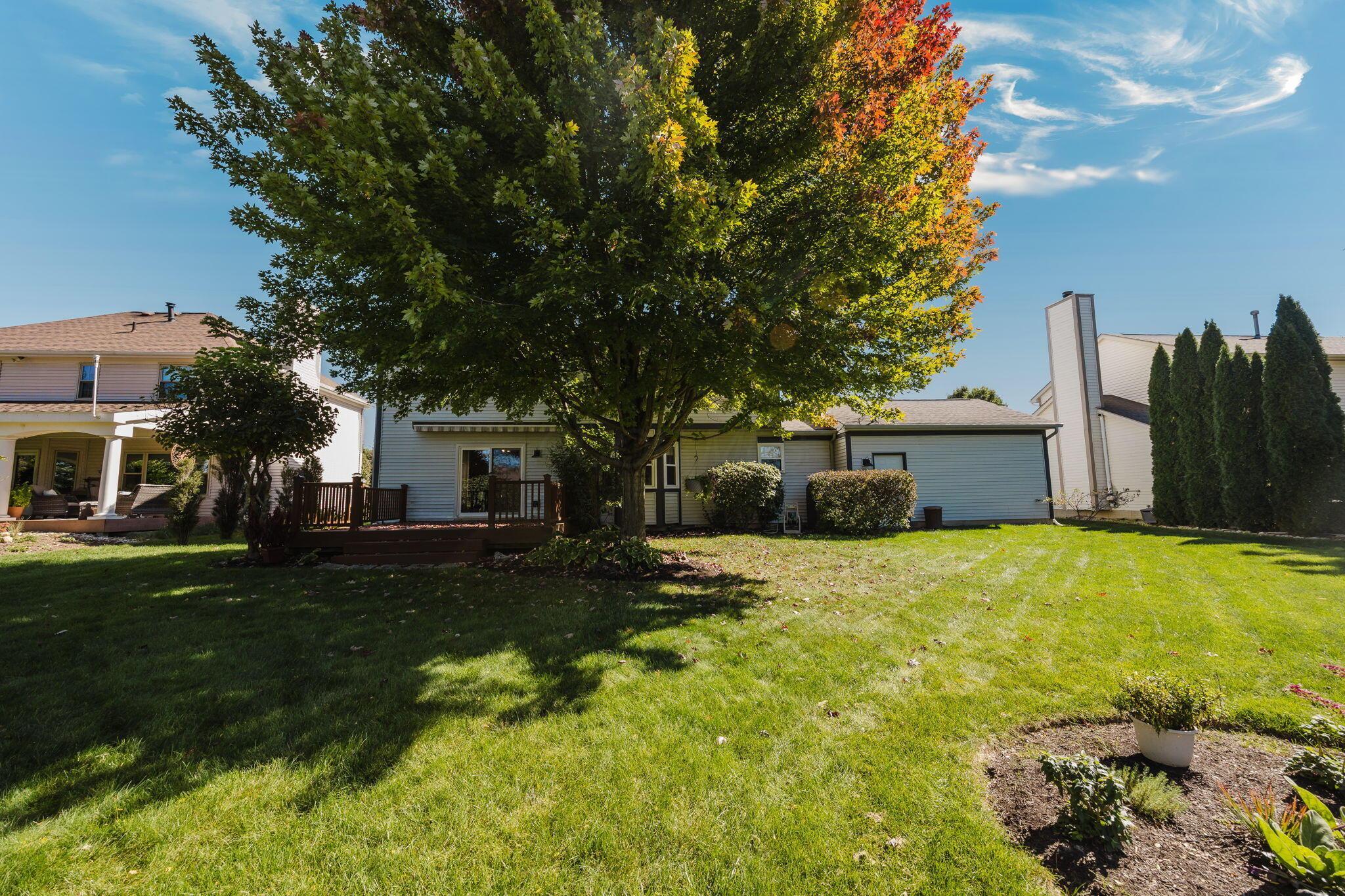123 Curly Smart Circle Property Photo 45