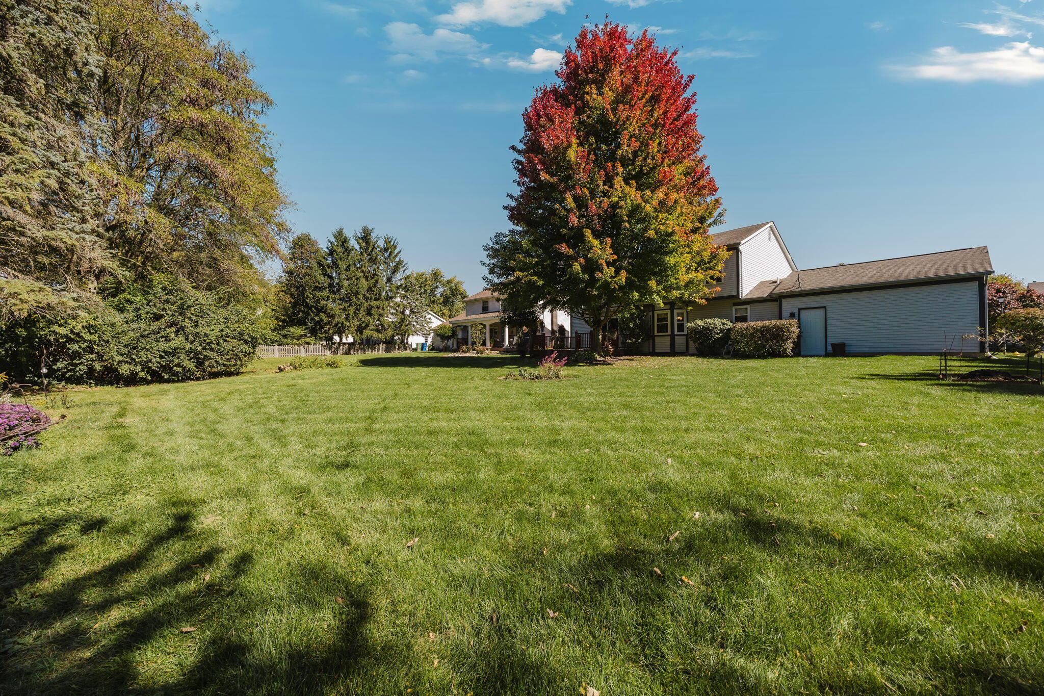123 Curly Smart Circle Property Photo 47