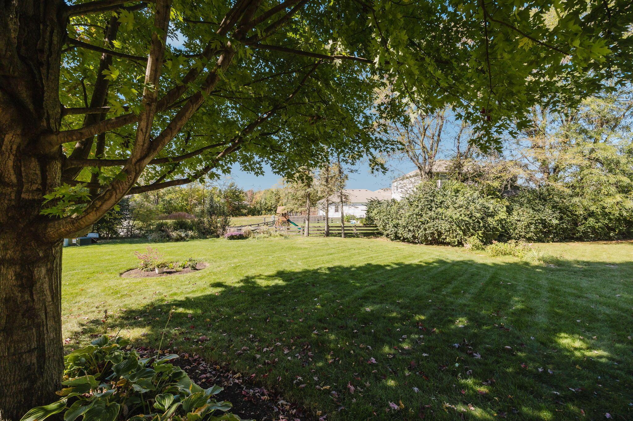 123 Curly Smart Circle Property Photo 48