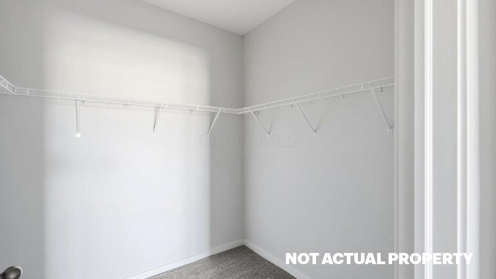 254 Vine Grove Drive Property Photo 18