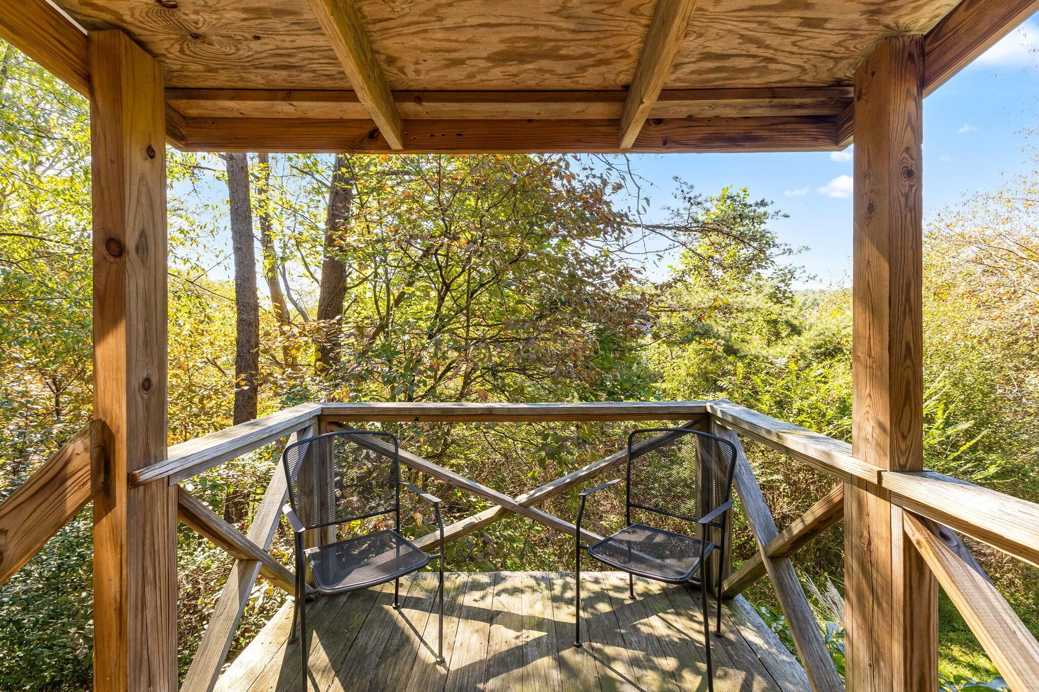 28560 Blackjack Road Property Photo 166