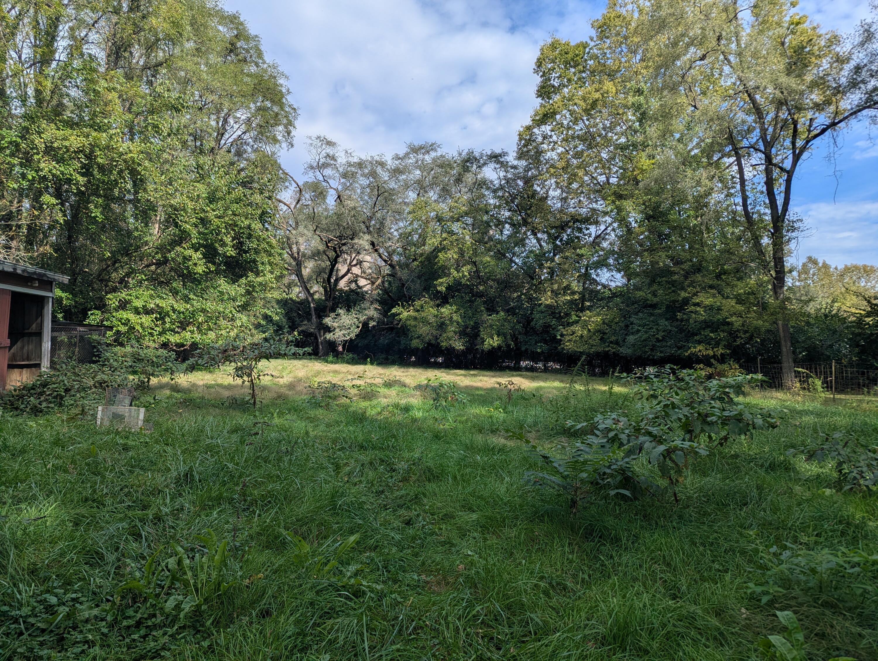2744 Sunset Avenue Property Photo 15