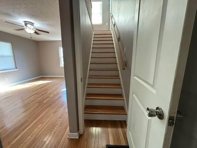 3295 Eisenhower Road Property Photo 11