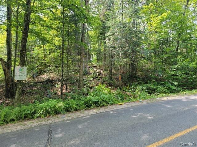 Ch. White Property Photo 3