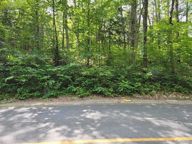 Ch. White Property Photo 4