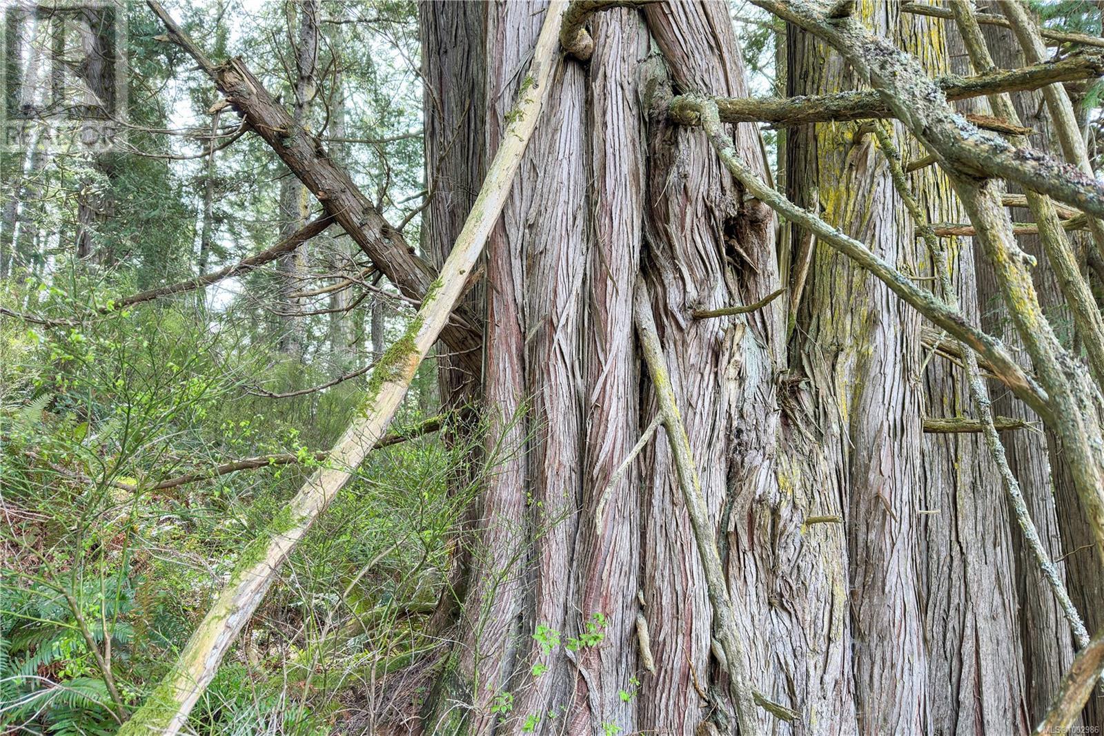 0 Humpback Bay Property Photo 31