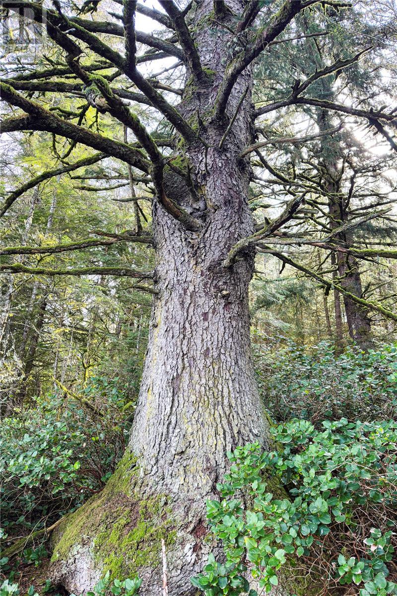 0 Humpback Bay Property Photo 35