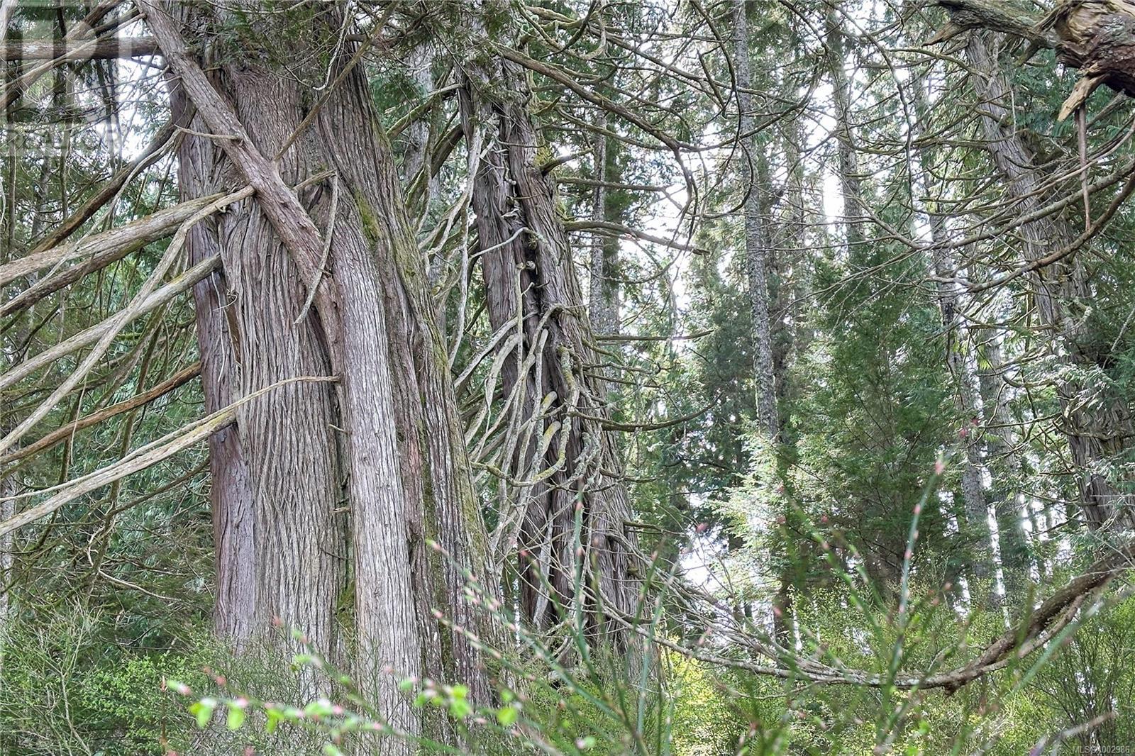 0 Humpback Bay Property Photo 41