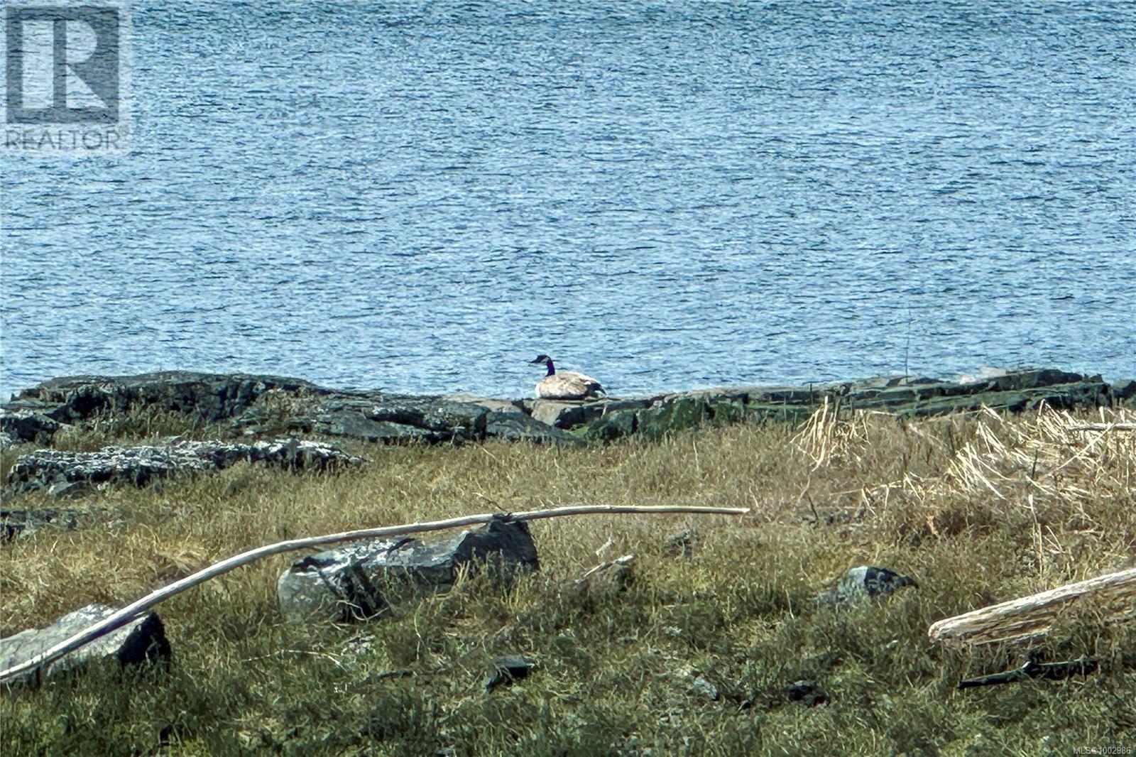 0 Humpback Bay Property Photo 43