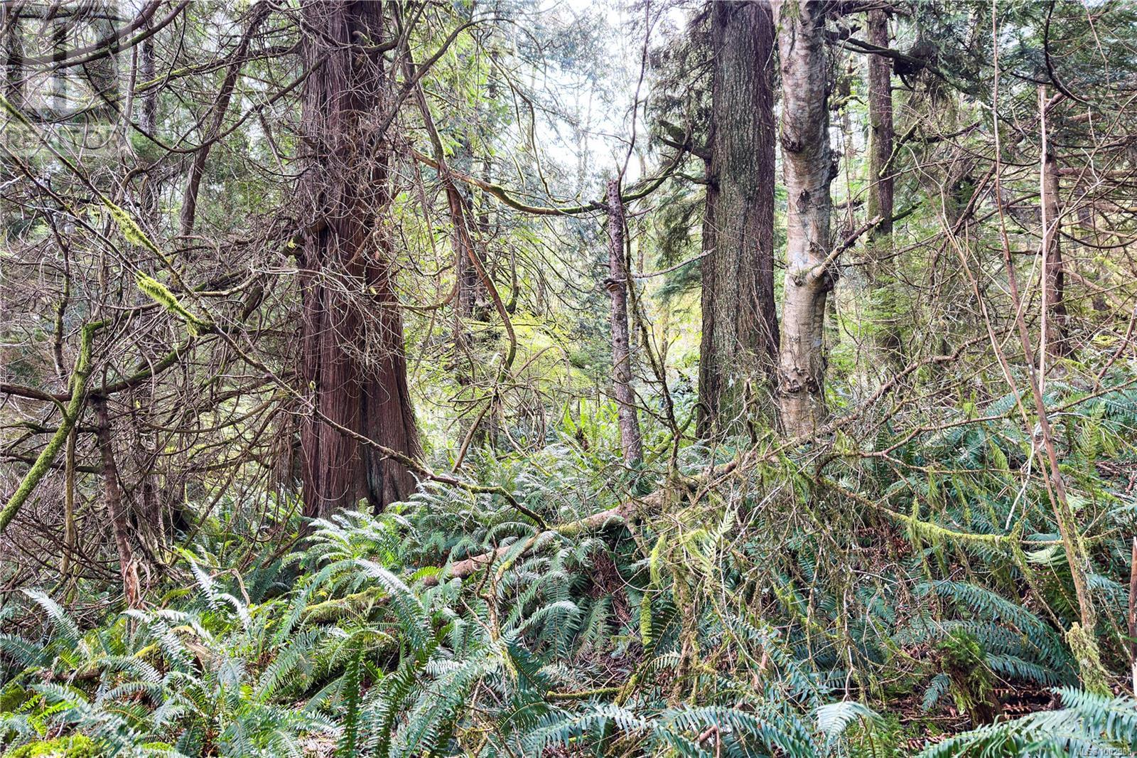 0 Humpback Bay Property Photo 44