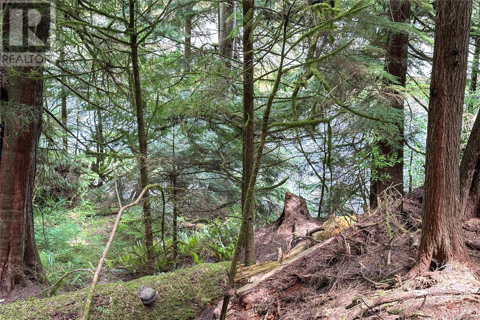 0 Humpback Bay Property Photo 45