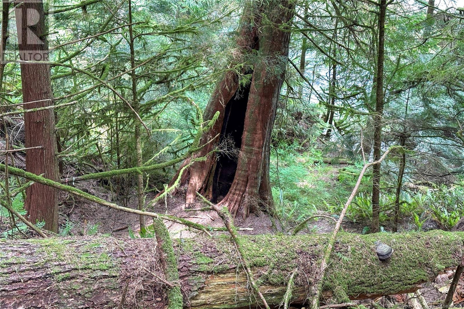 0 Humpback Bay Property Photo 46