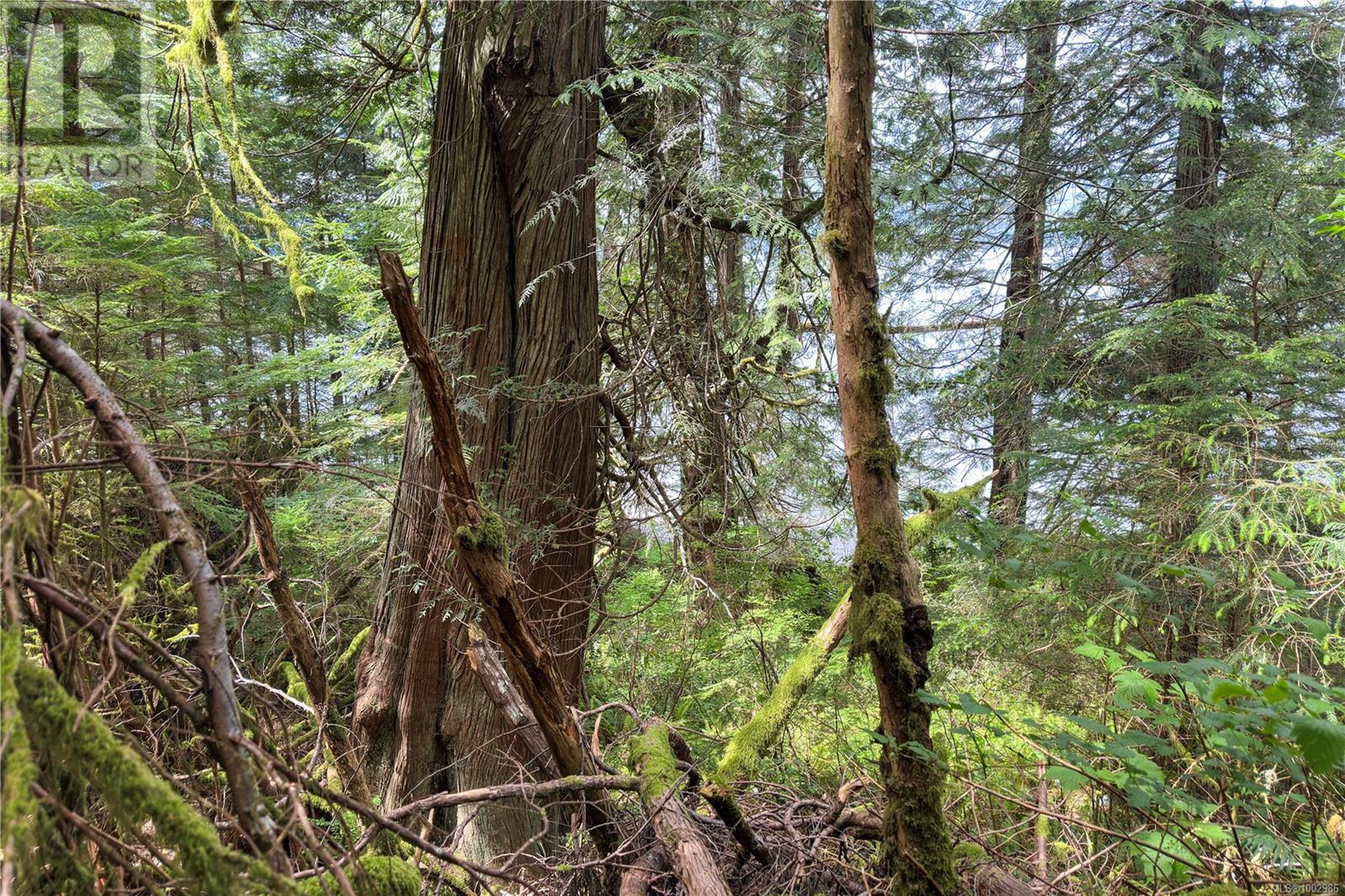 0 Humpback Bay Property Photo 48