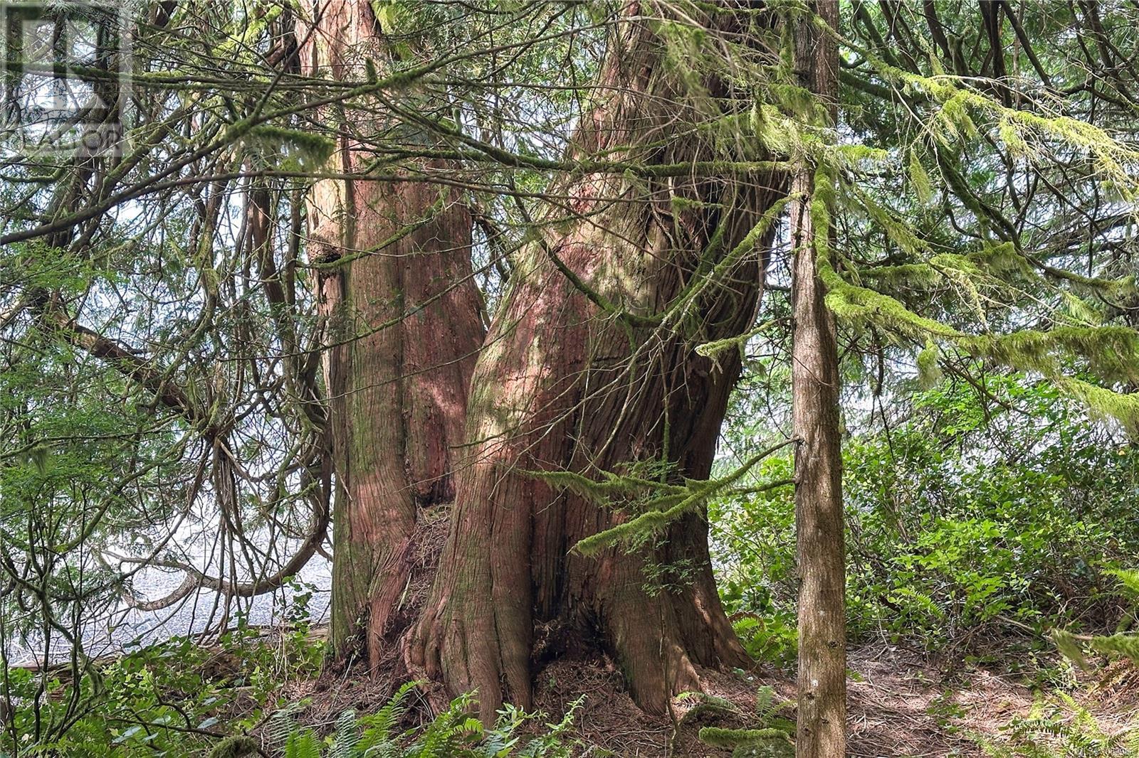 0 Humpback Bay Property Photo 49