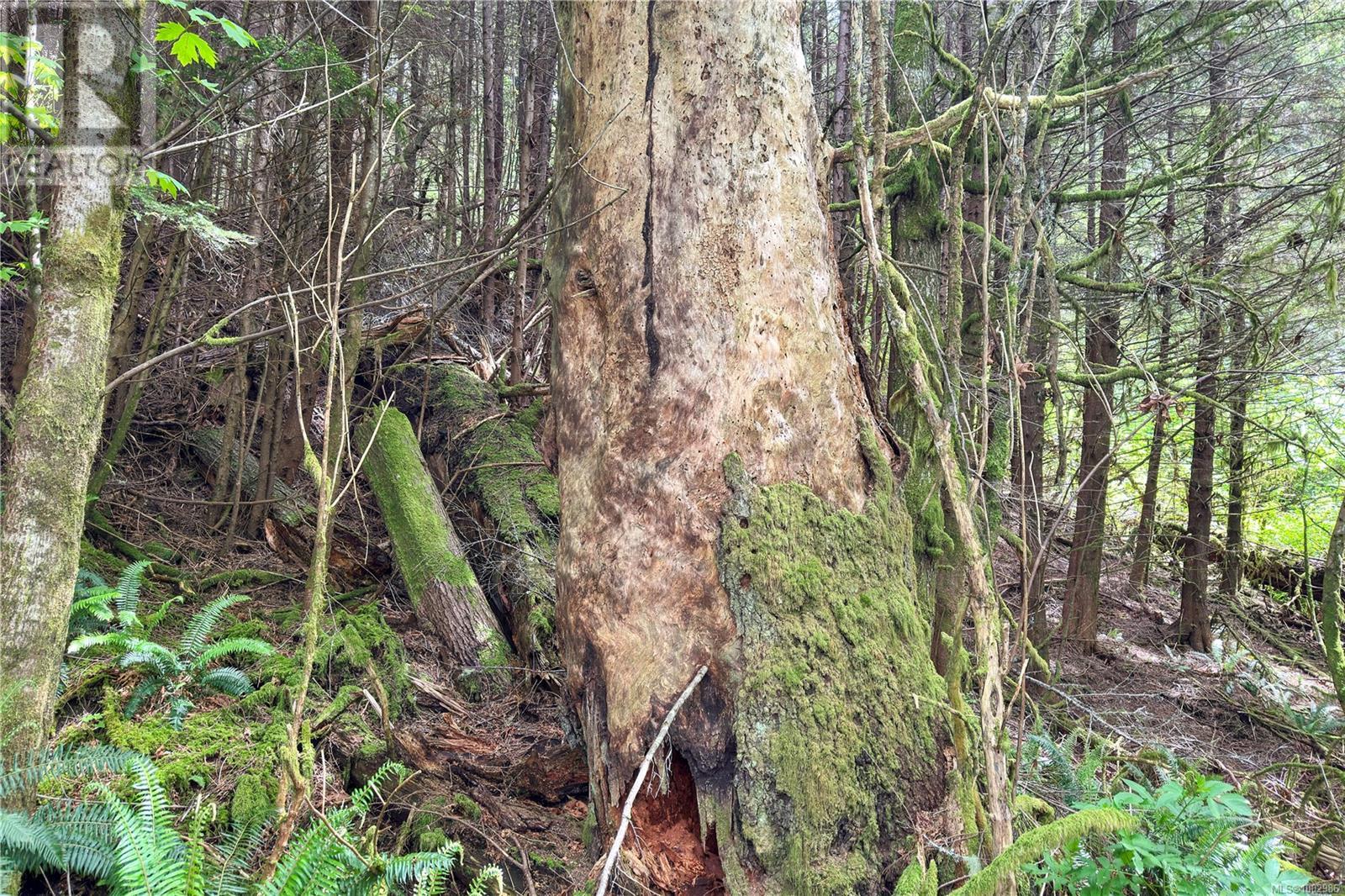 0 Humpback Bay Property Photo 52