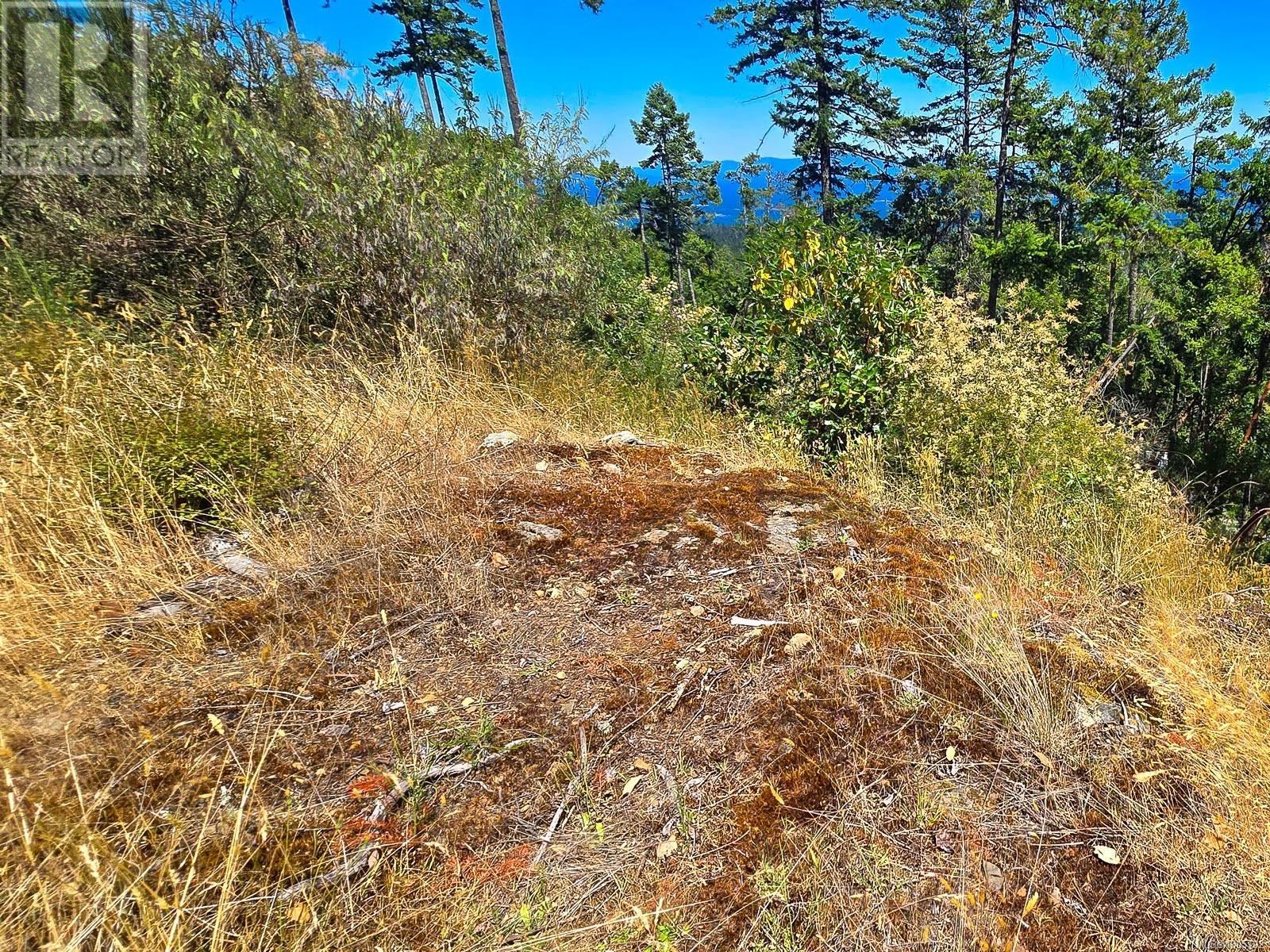 5040 Broad Ridge Pl Property Photo 7