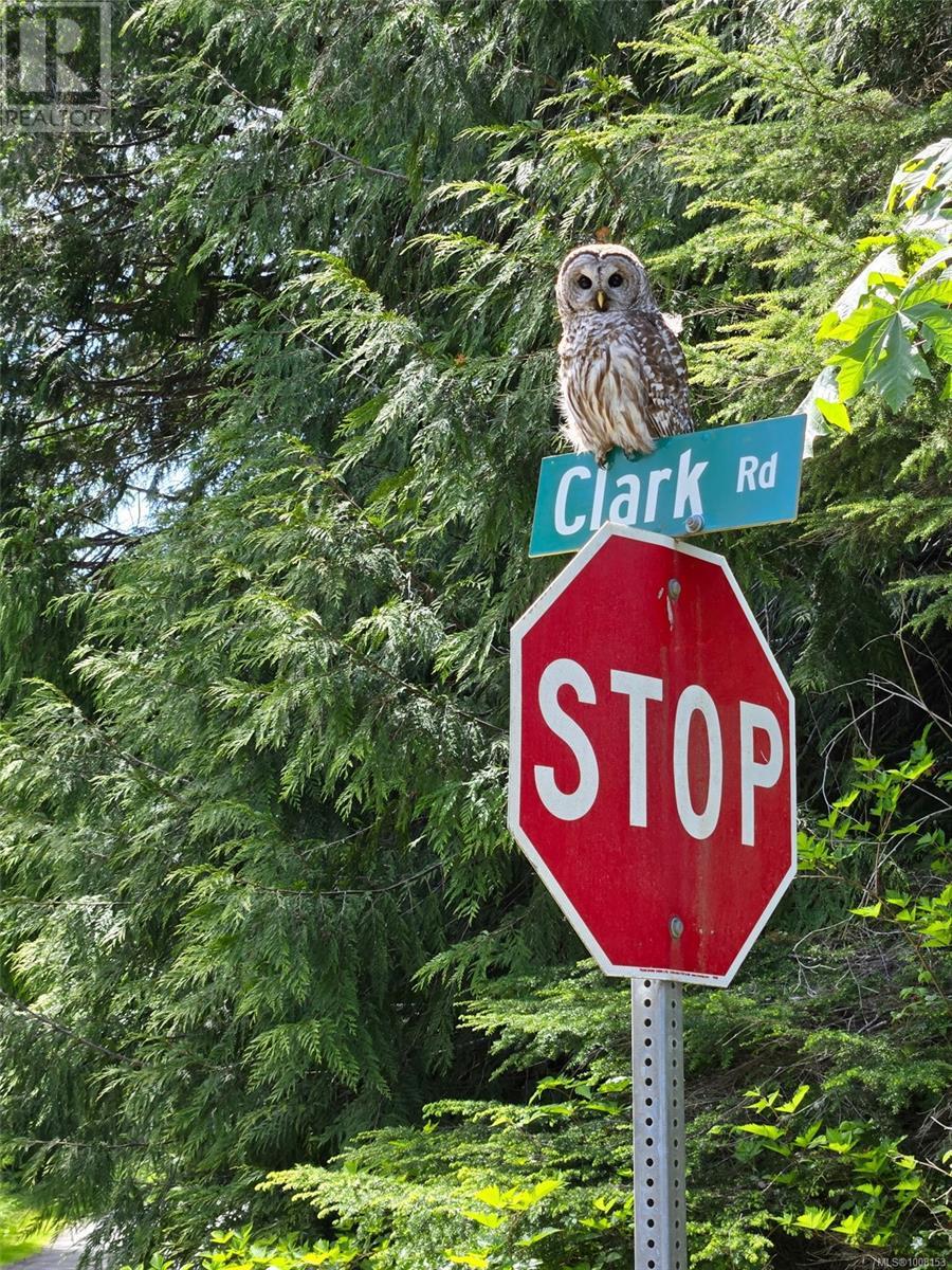 Lot 4 Clark Rd Property Photo 4