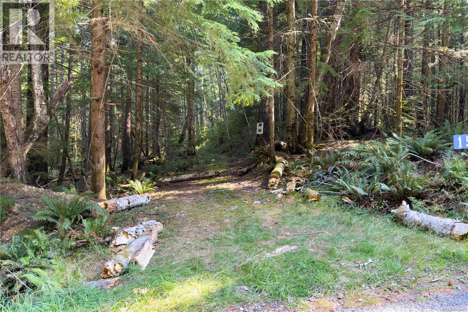 1572 Squirrel Cove Rd Property Photo 13