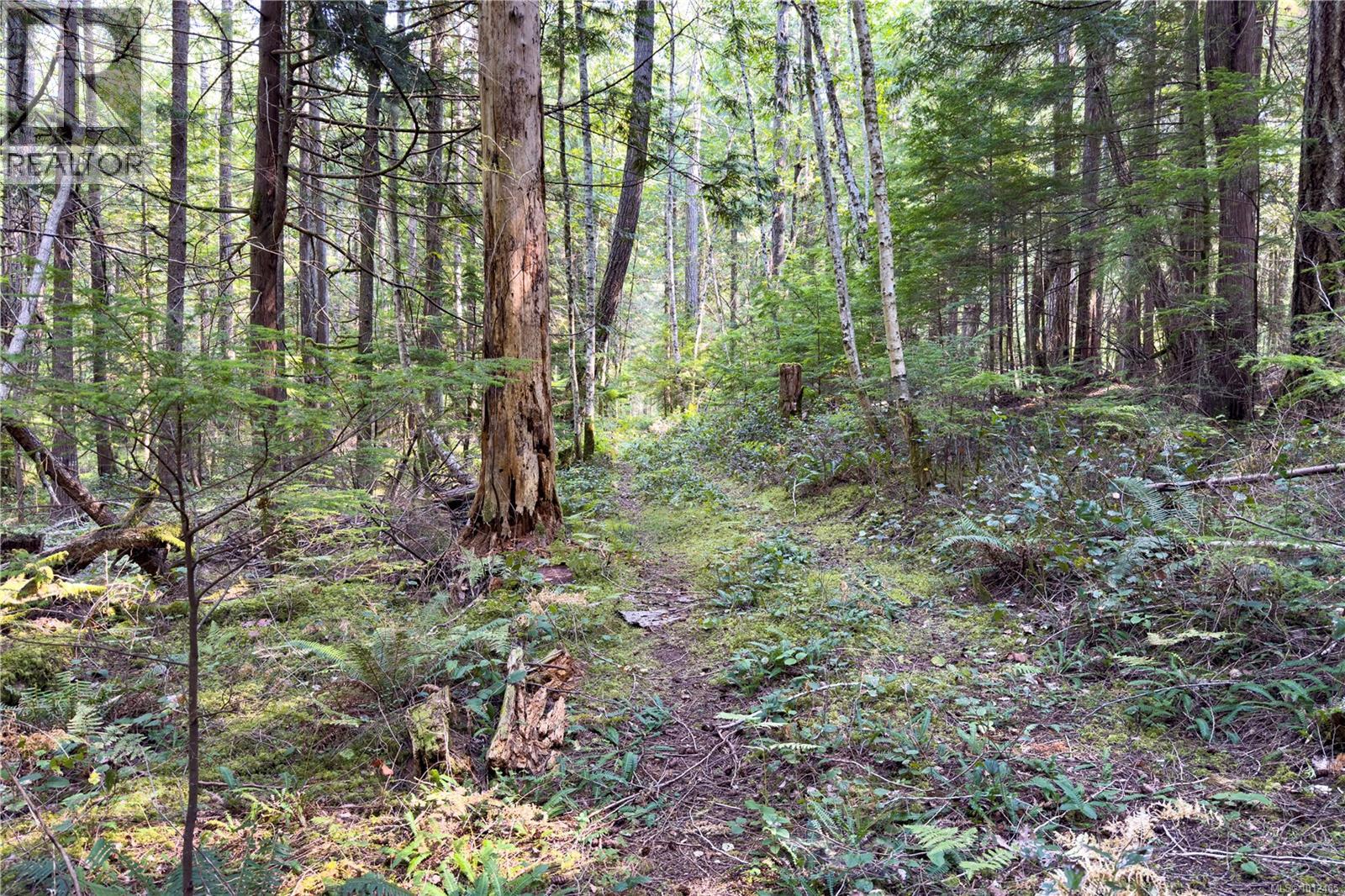 1572 Squirrel Cove Rd Property Photo 14